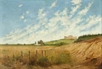 Ipiranga Field Landscape