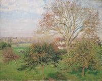 The Big Walnut Tree, Autumn Morning, Éragny