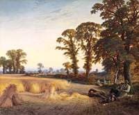 Country Life