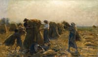 The Harvest