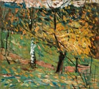 The White Birch