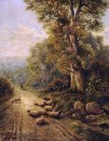 Landscape with Sheep