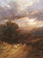 Sheep at Dusk