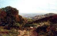 View in Surrey