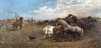 Catching Horses