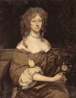 Portrait of a Lady