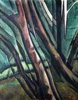 Tree Trunks