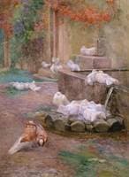 Morning Bath