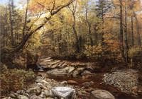 Brook in Autumn, Keene Valley, Adirondacks