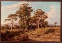 At Lilydale