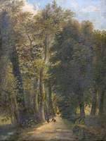 A Woodland Road