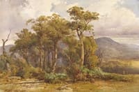 Yarra Flats