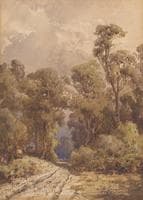 A Bush Track