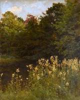 Meadow Sweet