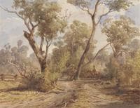 Bush Scene