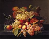 Still Life of Fruit