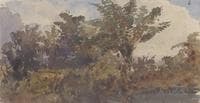 Landscape with Palm