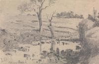 Merri Creek