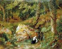 Stray Rabbits