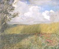 The Cornfield