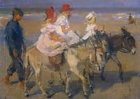 Donkey Riding on the Beach