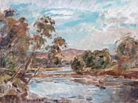 Trout Stream