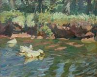 Sunny Bank, Ducks Feeding