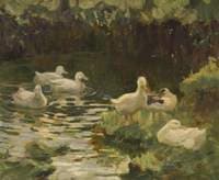 The Duck Pond