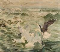 Herring Gulls and a Black Back