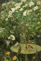 The Bird Table