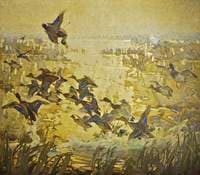 Duck Shooting: The Punt Gunner