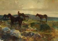 Dartmoor Ponies