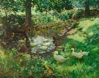 The Stream at Clapper Mill, Lamorna