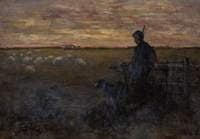 Watching the Flock