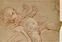 Study of Cupid