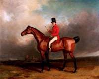 Mr A. W. Tudor (Master of Foxhounds), on Horseback