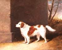 The Favourite Dog of Lord Charles Vere Ferrers Townshend