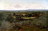 Blackdown from Hascombe