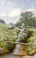 Stream through Countryside