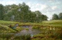The Brook