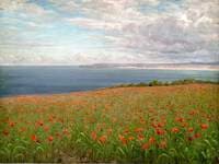The Poppy Field