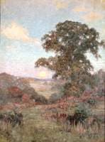 View of a Sunset over Water by a Tree
