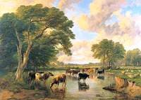 Cattle on the Banks of a River