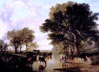 Evening in the Meadows