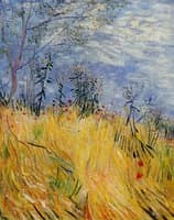 Edge of a Wheat Field with Poppies