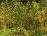 Trees