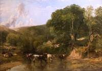 Wooded Glen