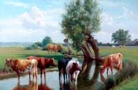 Cattle