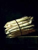 Still Life of Asparagus