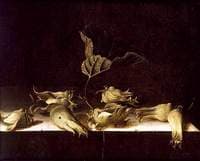Still Life with Hazel-nuts